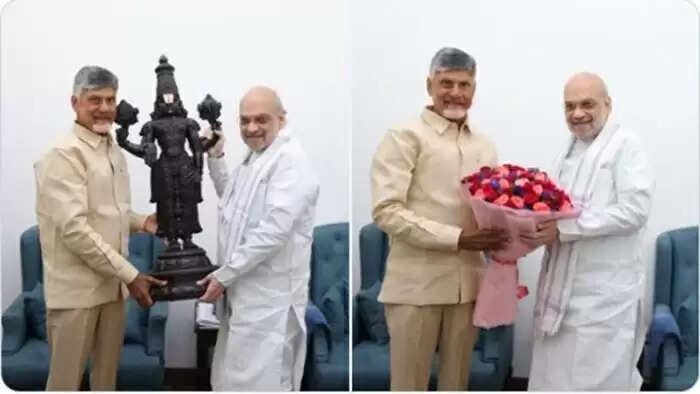 विदेश दौरे से लौटे चंद्रबाबू नायडू, दिल्ली में गृहमंत्री अमित शाह समेत कई केंद्रीय मंत्रियों से की मुलाकात