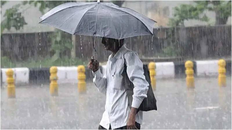मप्र में मानसून की दस्तक, आज 46 जिलों में आंधी-बारिश का अलर्ट, दो-चार दिनों में पूरे प्रदेश में होगा सक्रिय