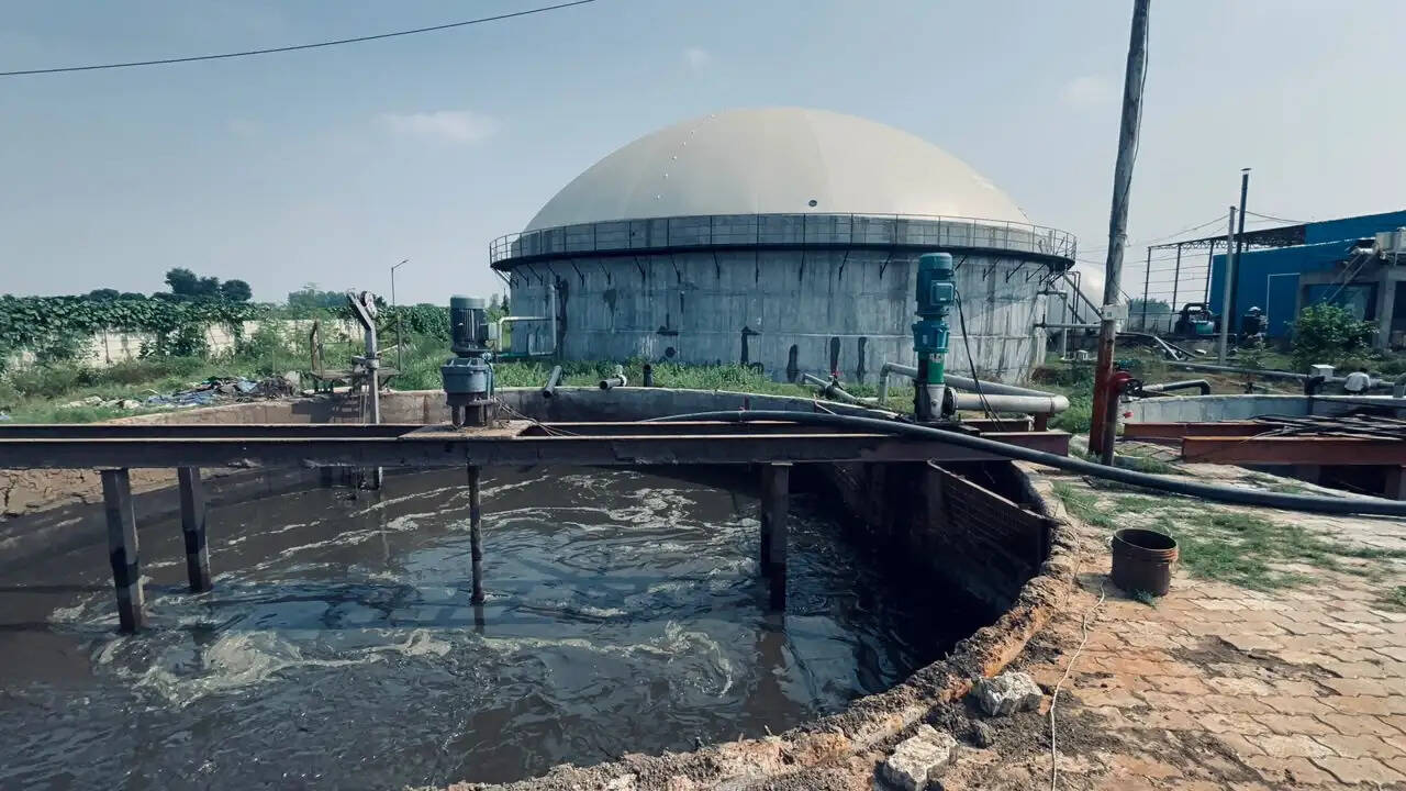 (साक्षात्कार) हरदोई के युवा उद्यमी आदि तिवारी पराली व गोबर से गैस बना कर देश को बना रहे आत्मनिर्भर