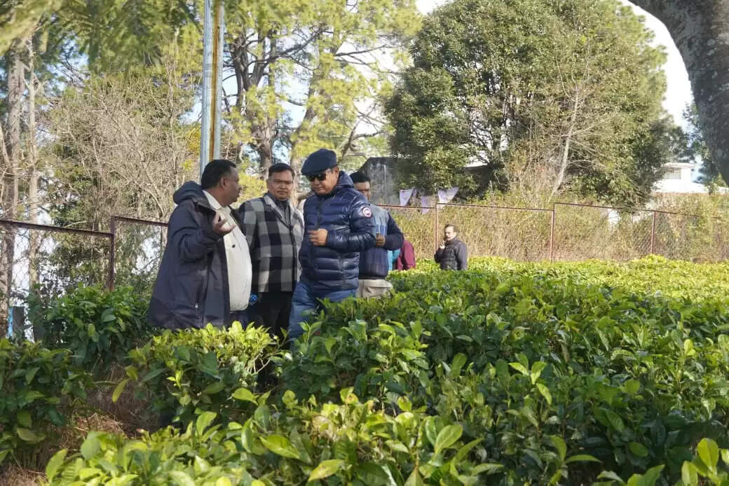 चम्पावत में चाय पर्यटन को नई रफ्तार, सचिव ने बागान का किया निरीक्षण