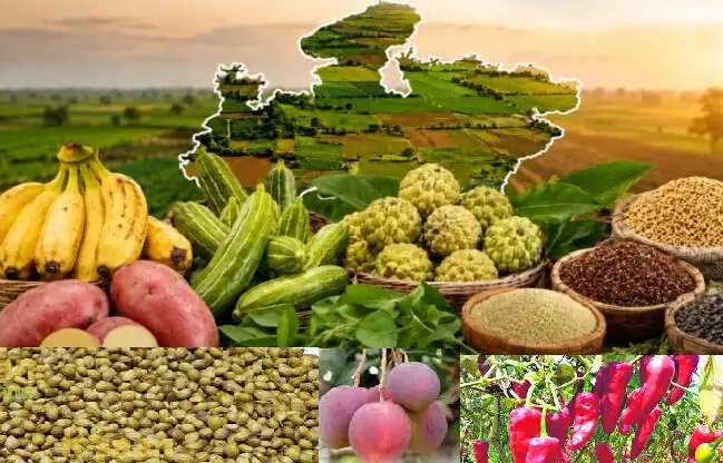 देश में पहली बार मध्य प्रदेश की 12 उद्यानिकी फसलों को मिला जीआई टैग