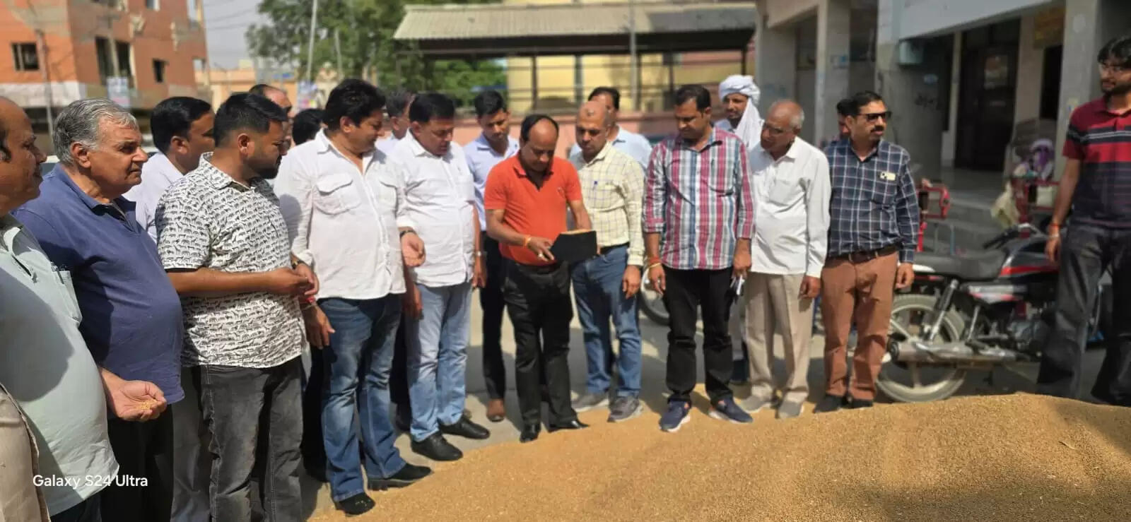 सिरसा में 2384 मीट्रिक टन गेहूं की खरीद