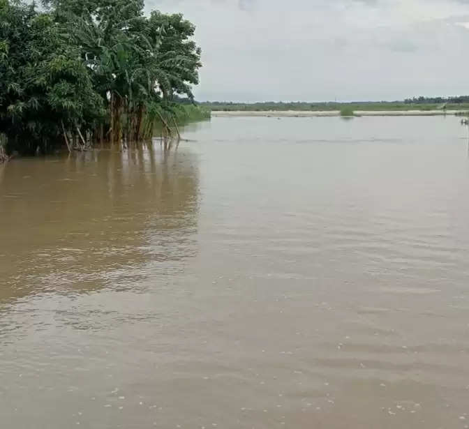 पश्चिम चंपारण का लगभाग एक दर्जन गांव टापू में तब्दील, प्रशासन के तरफ से कोई राहत नहीं