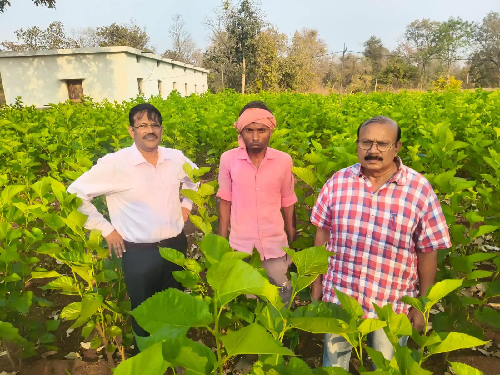 शहतूत खेती, कृमिपालन और धागाकरण से बढ़ रही किसानों व महिलाओं की आय