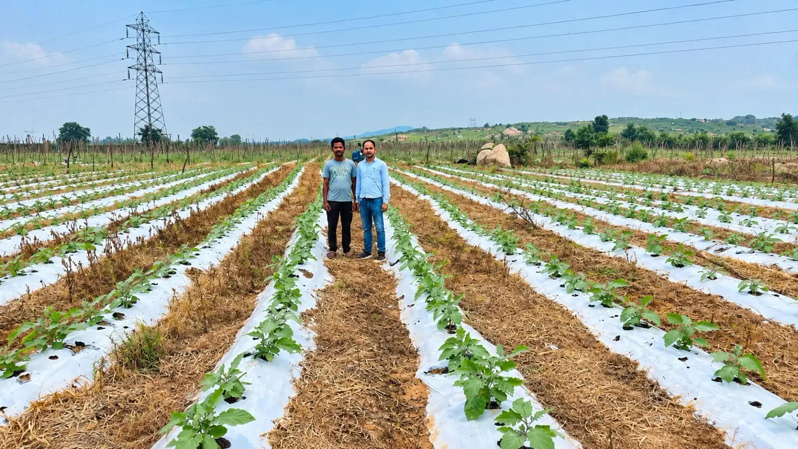 उद्यानिकी विभाग की योजनाओं से छत्रपाल सिंह कंवर ने संवारी खेती, सालाना आय बढ़कर 4-5 लाख रुपये तक पहुंची