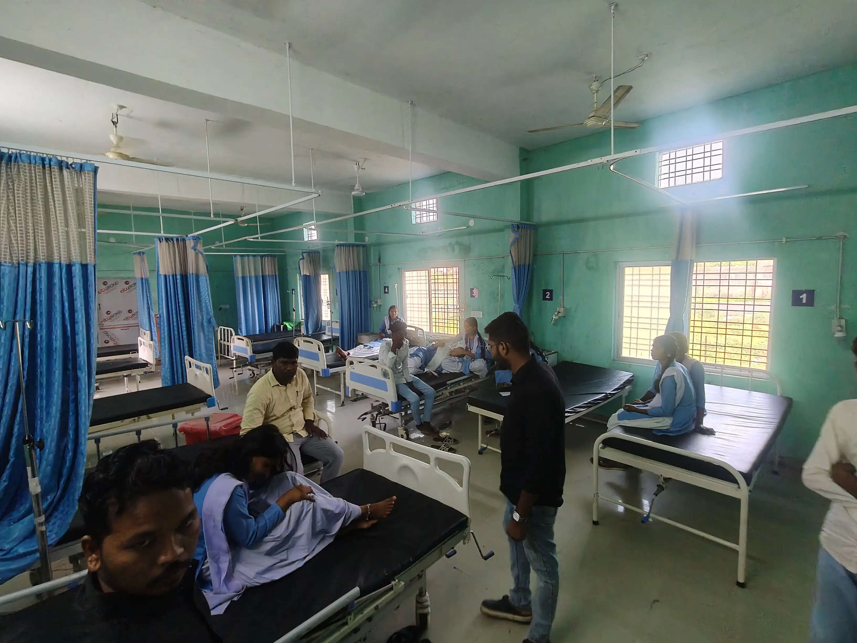 विजयनगर स्कूल में मधुमक्खियों का हमला, 11 बच्चे और दो शिक्षक घायल; चार छात्र बलरामपुर रेफर
