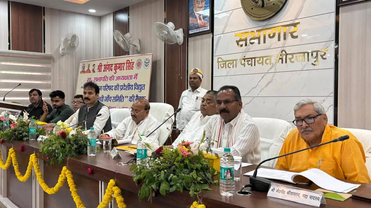 विद्युत जांच के नाम पर उपभोक्ताओं को न किया जाए परेशान : अंगद कुमार सिंह