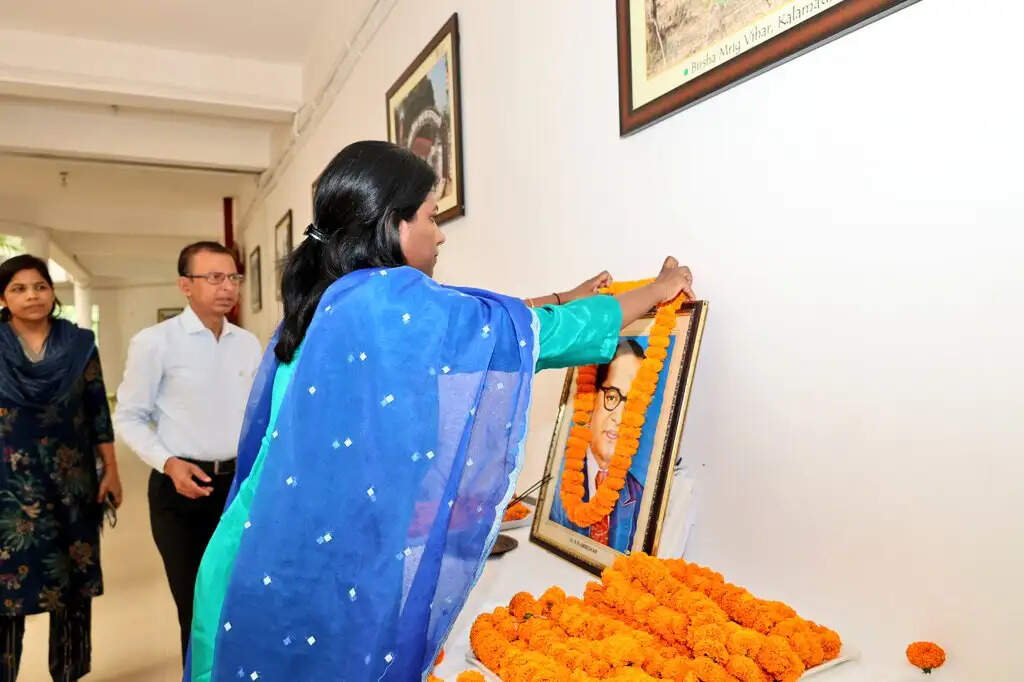 बाबा साहेब डॉ.&nbsp;भीमराव अम्बेडकर की जयंती पर जिला प्रशासन ने अर्पित की श्रद्धांजलि