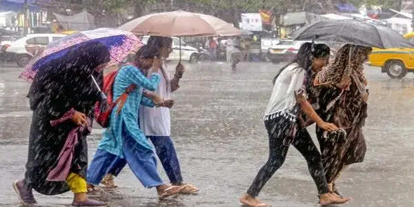 मप्र: जबलपुर-रीवा-शहडोल संभाग में 3 दिन भारी बारिश की चेतावनी, आज 18 जिलों में अलर्ट, भोपाल-ग्वालियर में भी आसार