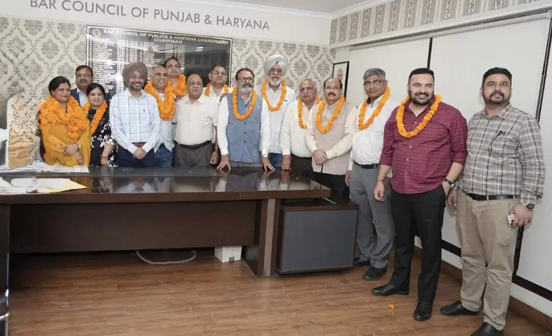 हांसी: अमित राणा बने पंजाब एवं हरियाणा बार काउंसिल के चेयरमैन
