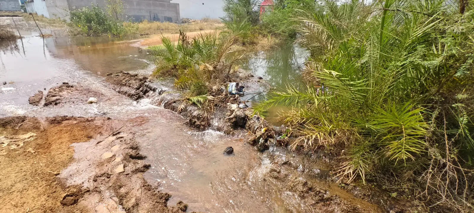 निस्तारी पानी बना मुसीबत, फौजी कालोनी में जलभराव