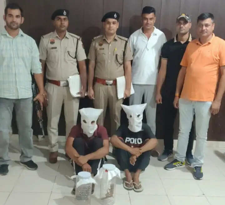 हांसी में मां की हत्या के इरादे से लाया देसी कट्टा, वारदात से पहले सीआईए ने दबोच लिया