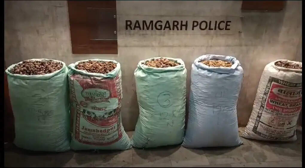 &nbsp;रामगढ़&nbsp;में&nbsp;तस्करी&nbsp;का&nbsp;आरोपित&nbsp;गिरफ्तार,&nbsp;50 लाख का&nbsp;डोडा जब्त