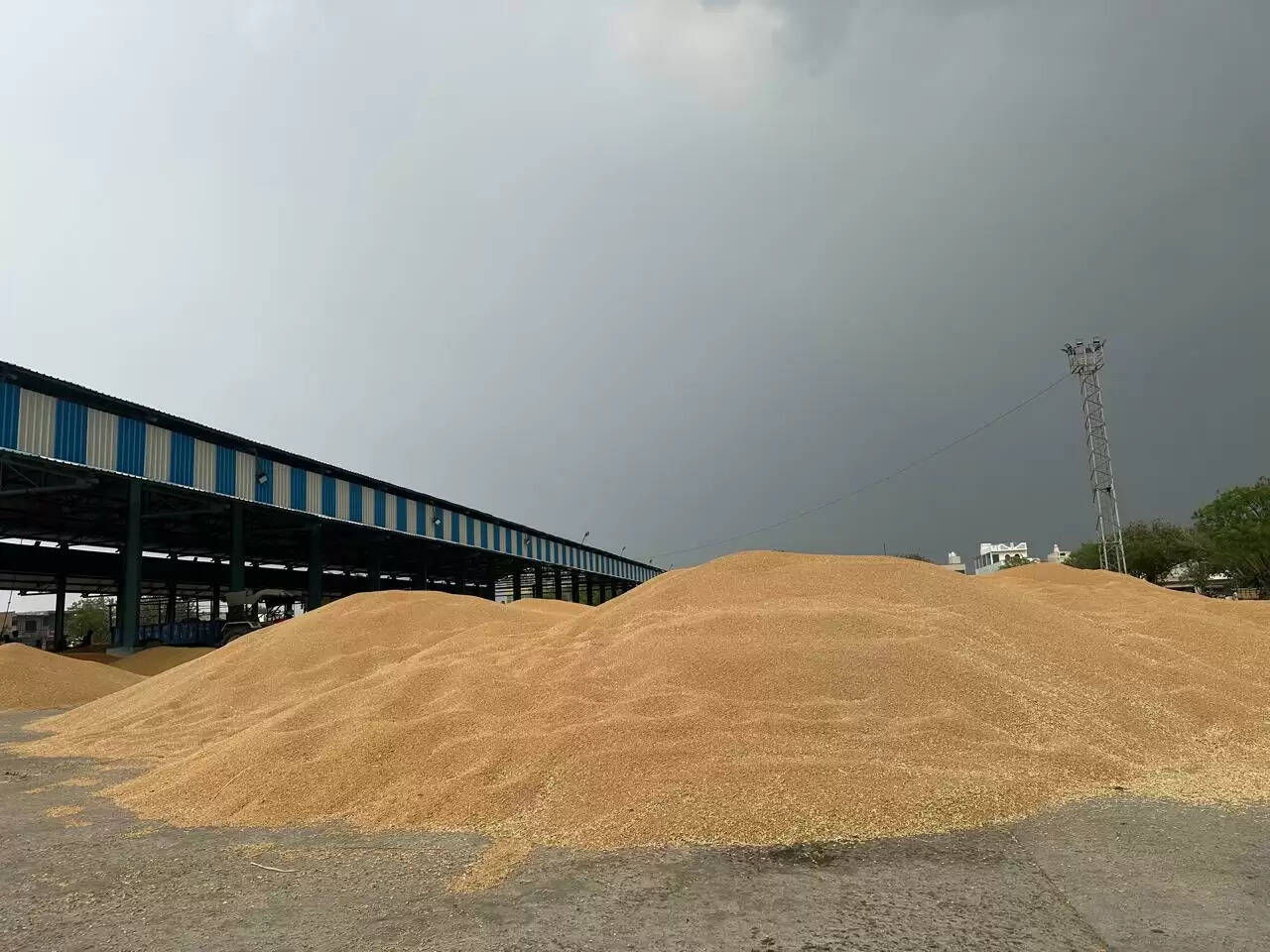 जींद : हलकी बारिश से बदला मौसम, तापमान में आई गिरावट