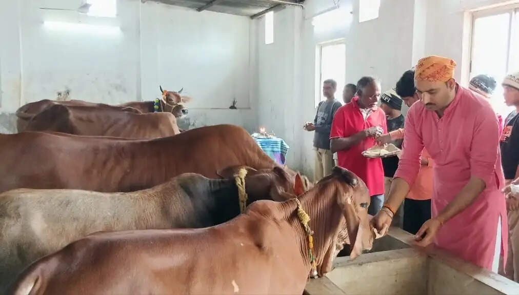 पुंदाग के श्री राधा कृष्ण प्रणामी मंदिर में श्रद्धाभाव से मनाई गई मोहिनी एकादशी और गौ सम्मान दिवस