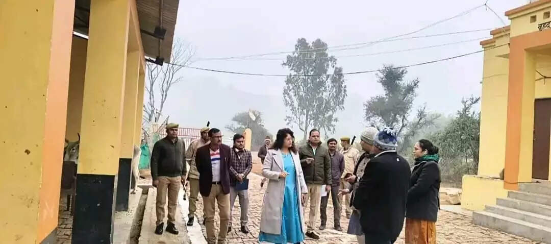 गौआश्रय स्थल का निरीक्षण कर डीएम ने धरातल पर परखीं व्यवस्थाएं