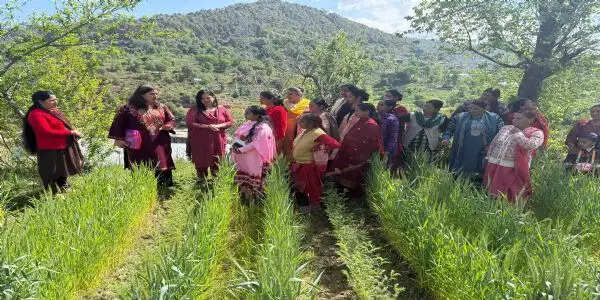 किसानों के लिए पांच दिवसीय संस्थागत कौशल विकास प्रशिक्षण कार्यक्रम आयोजित