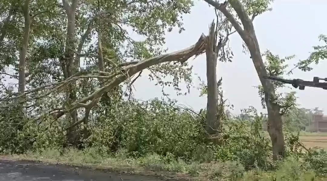 तेज तूफान ने मचाई तबाही और ली परिवार के मुखिया की जान