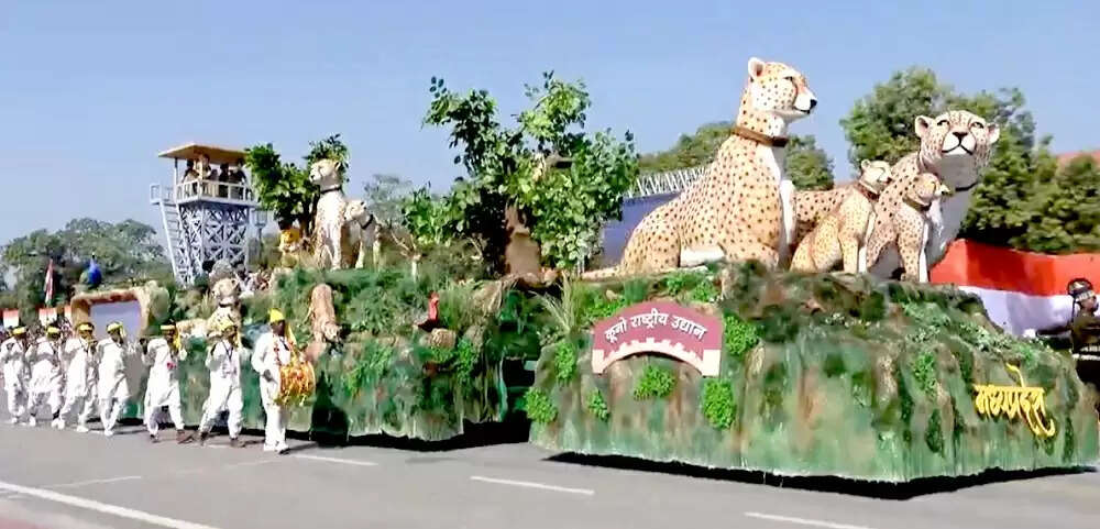 कर्तव्य पथ पर गूंजी मध्य प्रदेश की शान, चीतों की ऐतिहासिक वापसी बनी आकर्षण का केंद्र