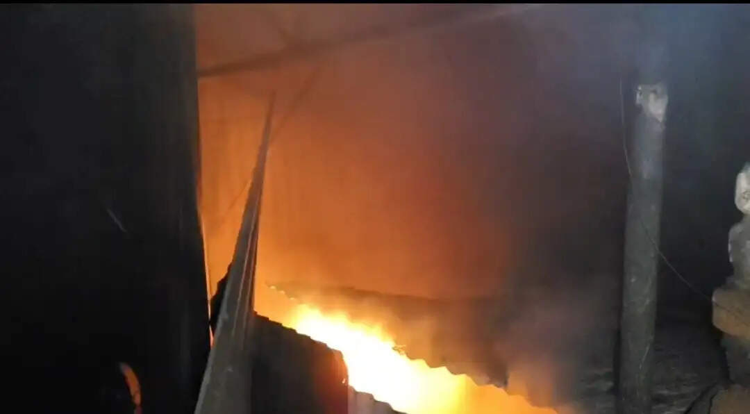 जबलपुरः गंगासागर इलाके में शॉर्ट सर्किट से टाल में भीषण आग