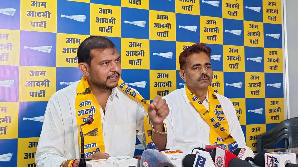 आम आदमी पार्टी पूरे राजस्थान में लड़ेगी पंचायती राज चुनाव