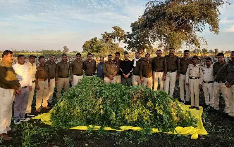 मप्र पुलिस की अवैध मादक पदार्थ पर बड़ी कार्रवाई, पांच दिन में 2.17 करोड़ से अधिक की सामग्री जब्त