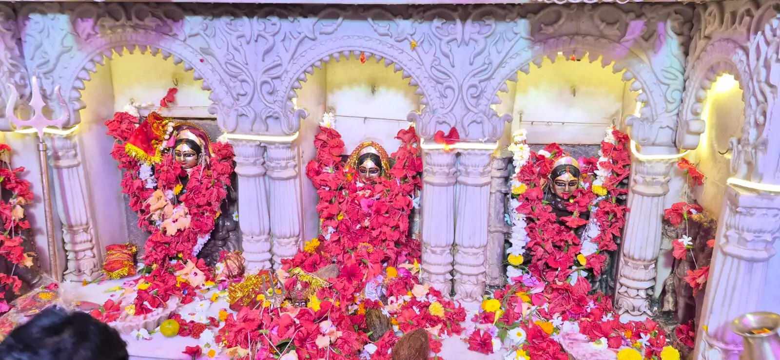 दमोह : नवरात्रि का आगाज: मंदिरों में उमड़ा श्रद्धालुओं का सैलाब, जयकारों से गूंजा शहर