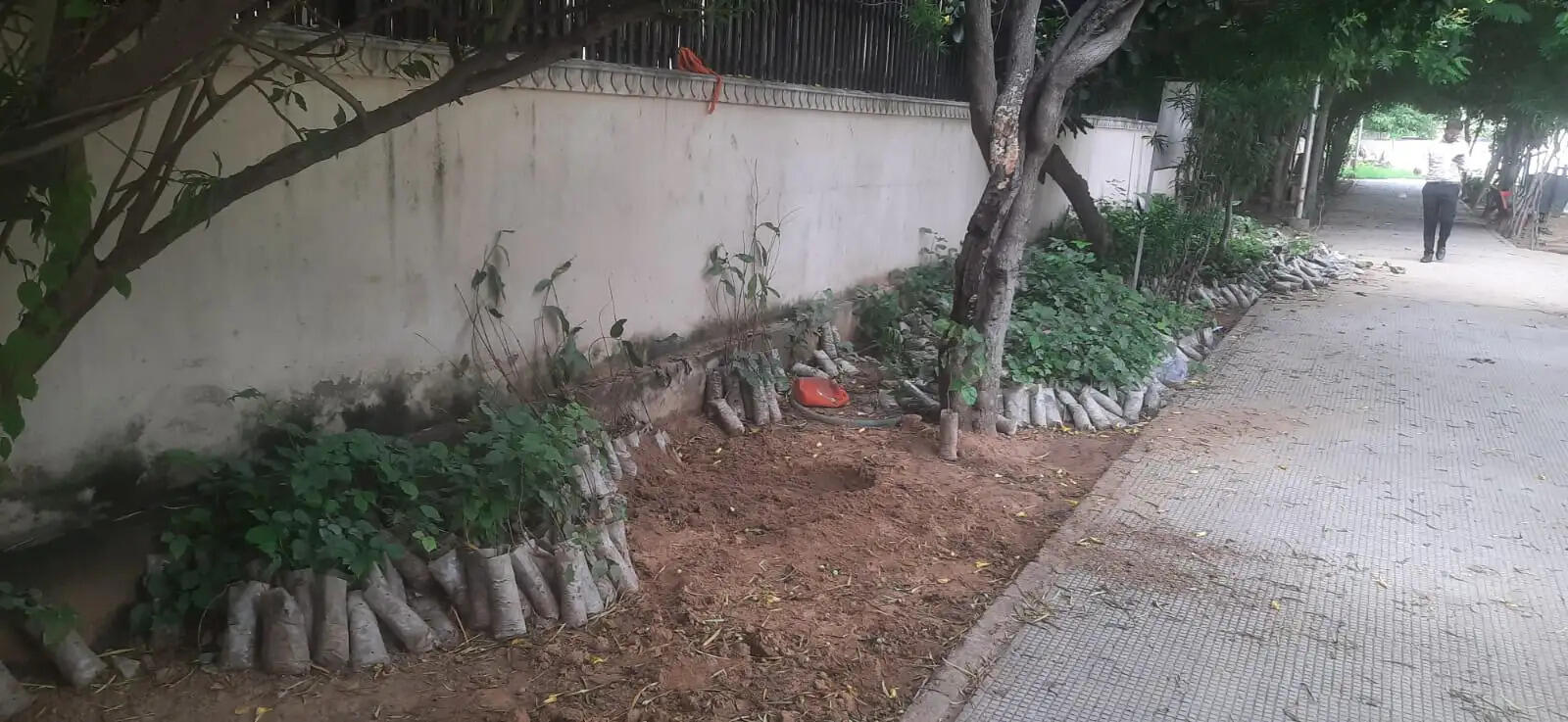 मानसून प्लान में निगम फेल, जोन कार्यालयों में ही पड़े रह गए पौधे