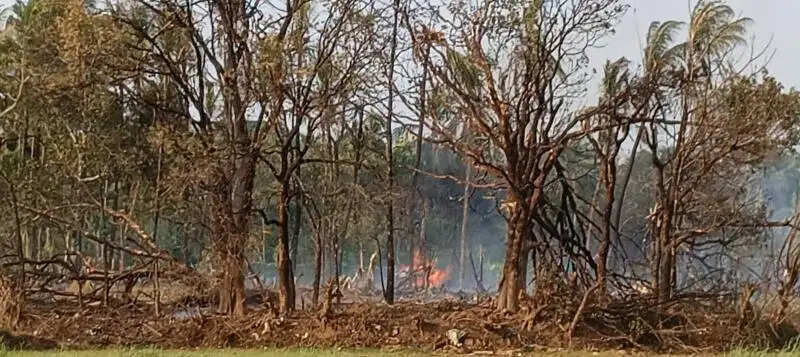 केरल के त्रिशूर पूरम के पटाखा यूनिट में विस्फोट, 13 लोगों की मौत, कई गंभीर घायल