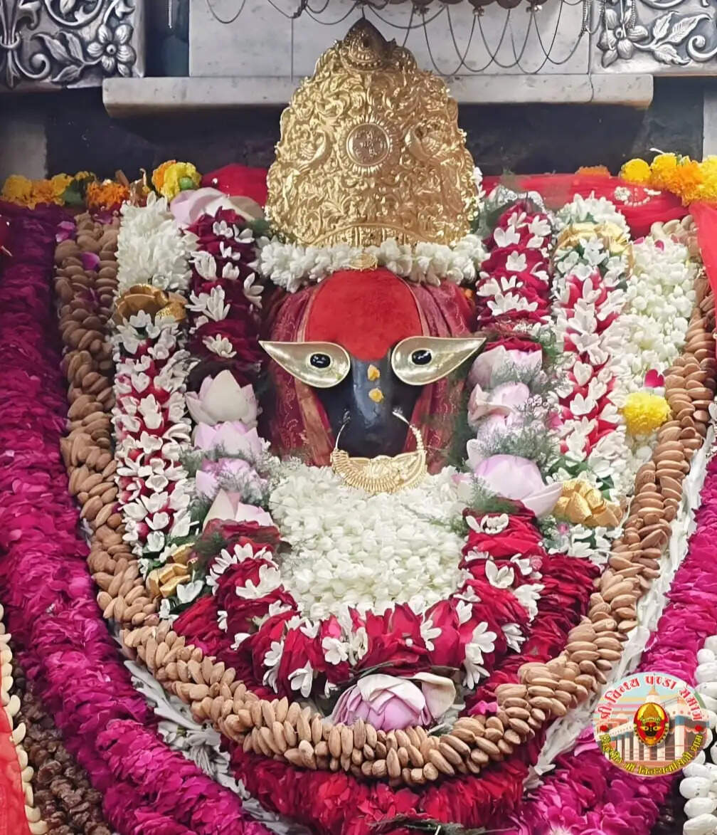 विंध्यधाम में उमड़ी आस्था की भीड़, दर्शन को घंटों कतार में खड़े रहे श्रद्धालु