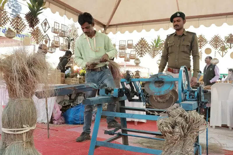 अंतरराष्ट्रीय वन मेलाः आयुर्वेदिक चिकित्सकों और नाड़ी वैद्यों से परामर्श के लिए उमड़ी भीड़