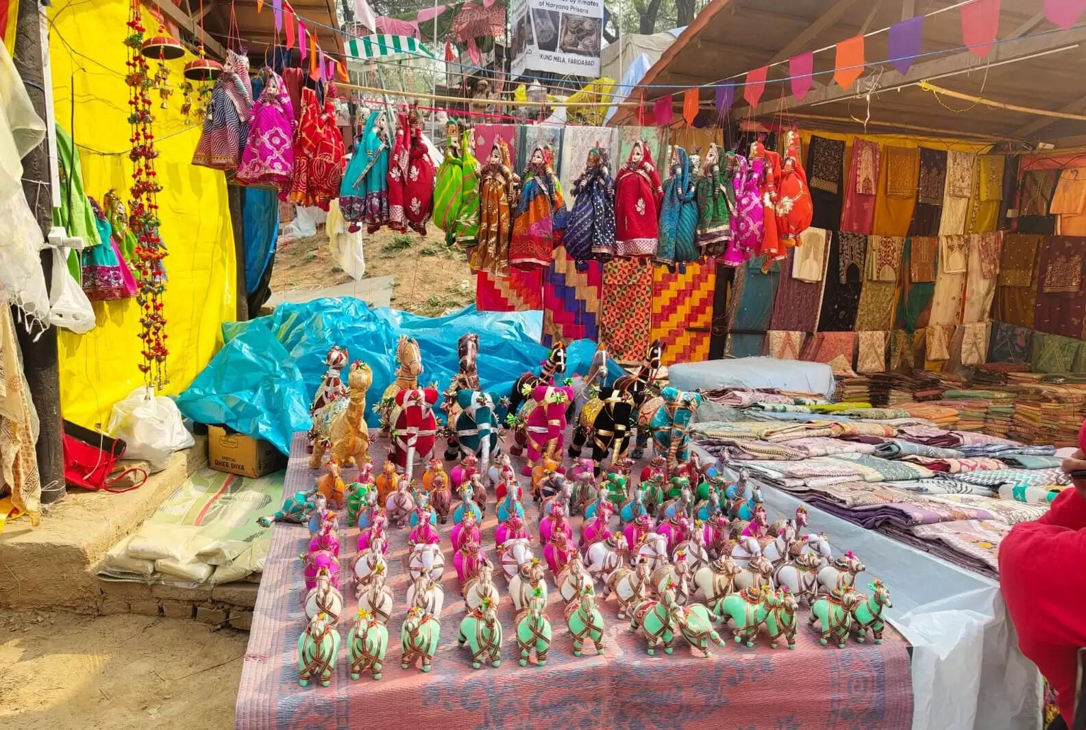 फरीदाबाद : अंतरराष्ट्रीय आत्मनिर्भर मेले में 39 वर्षों से लगातार आ रही पताशी देवी