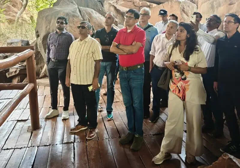 इंडो फ्रेंच कॉन्क्लेव के लिए मप्र आए फ्रेंच डेलिगेशन ने किया विश्व धरोहर भीमबेटका का भ्रमण