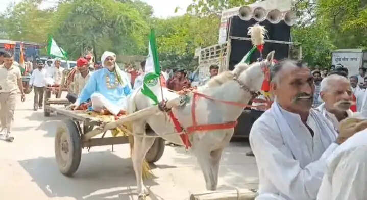 अनोखा प्रदर्शन, घोड़े की बग्गी पर बैठ गले में आलू की माला डाल जिलाधिकारी कार्यालय पहुंचे किसान