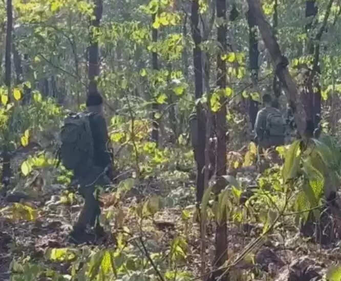 छत्तीसगढ़ के बीजापुर–दंतेवाड़ा सीमा पर मुठभेड़ में सात नक्सली ढेर, दो जवान बलि‍दान, एक घायल