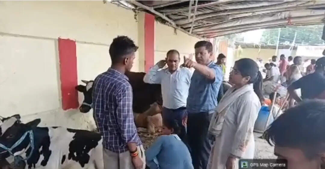 बाढ़ प्रभावित सारण में पशुधन की सुरक्षा के लिए विशेष चिकित्सा अभियान