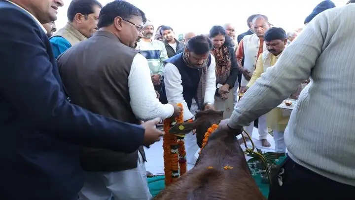 बसामन मामा गौवंश वन्य विहार में शेष निर्माण कार्यों को शीघ्र करें पूर्ण: उप मुख्यमंत्री शुक्ल