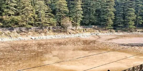 शरारती तत्वों ने खोल दिए डल झील के वॉल्व, पानी सूखने से तड़पकर मरी कई मछलियां