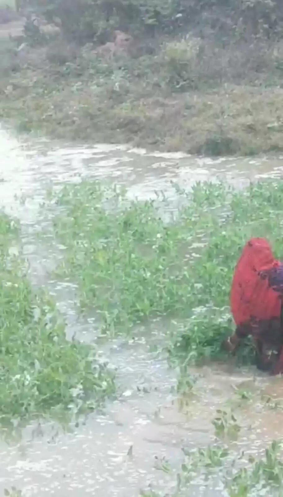 अठारह गांवों से होकर गुजरती है 50 किमी लम्बी गायत्री गंगा