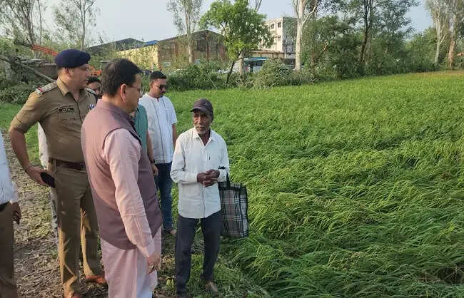 मुख्यमंत्री धामी ने बाजपुर में ओलावृष्टि से फसलों के नुकसान का लिया जायजा, प्रभावित किसानों से की बातचीत