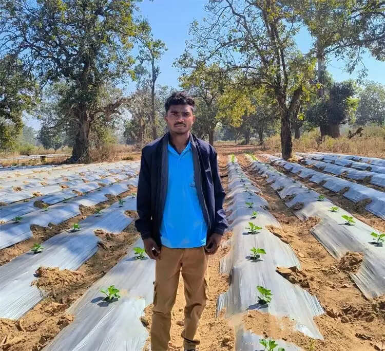 आधुनिक खेती से बदली तस्वीर