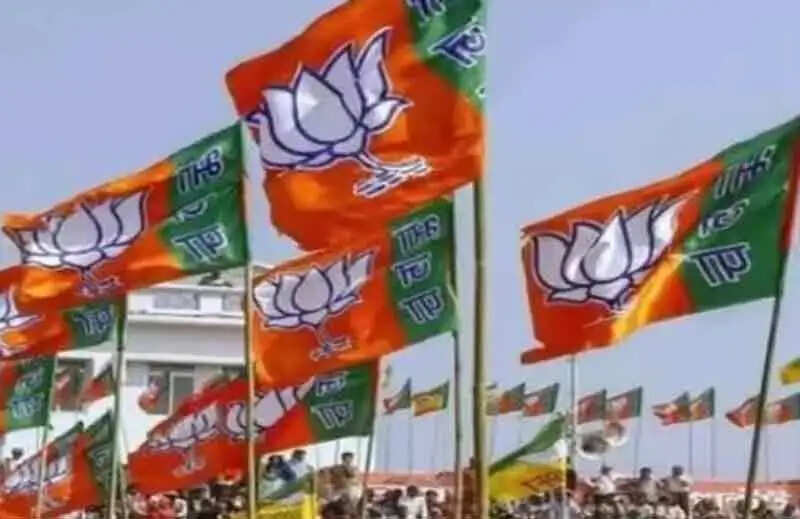 भाजपा छह अप्रैल को मनाएगी  47वां स्थापना दिवस, छग&nbsp;के&nbsp;सभी&nbsp;जिलाें&nbsp;में&nbsp;हाेंगे&nbsp;विभिन्न&nbsp;कार्यक्रम