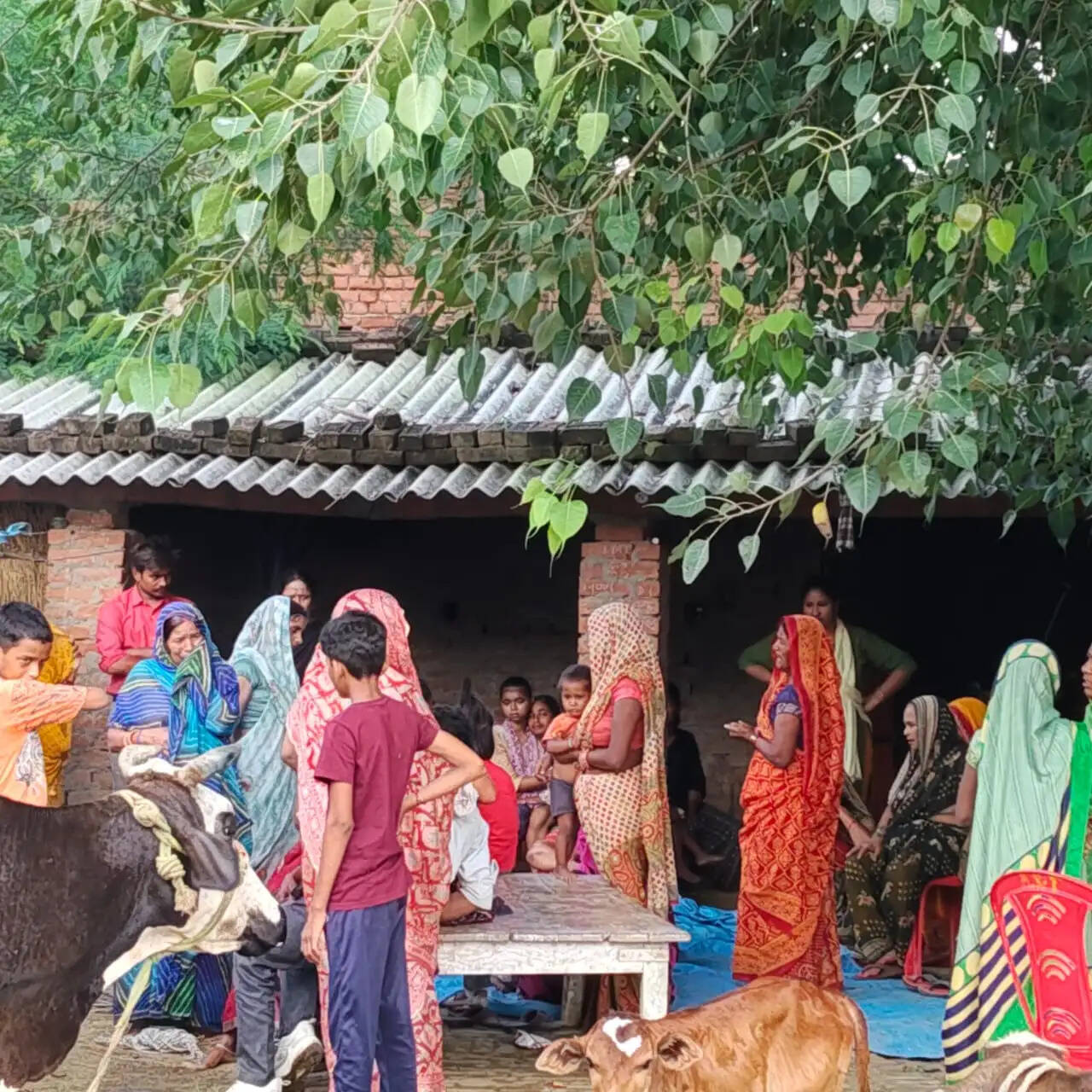 अमेठी : विषाक्त पदार्थ खाने से विवाहिता की मौत, मायके वालाें ने लगाया प्रताड़ना का आरोप