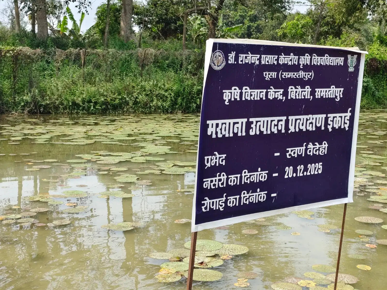 मखाना उत्पादन एवं प्रसंस्करण तकनीक का एक दिवसीय प्रशिक्षण कार्यक्रम