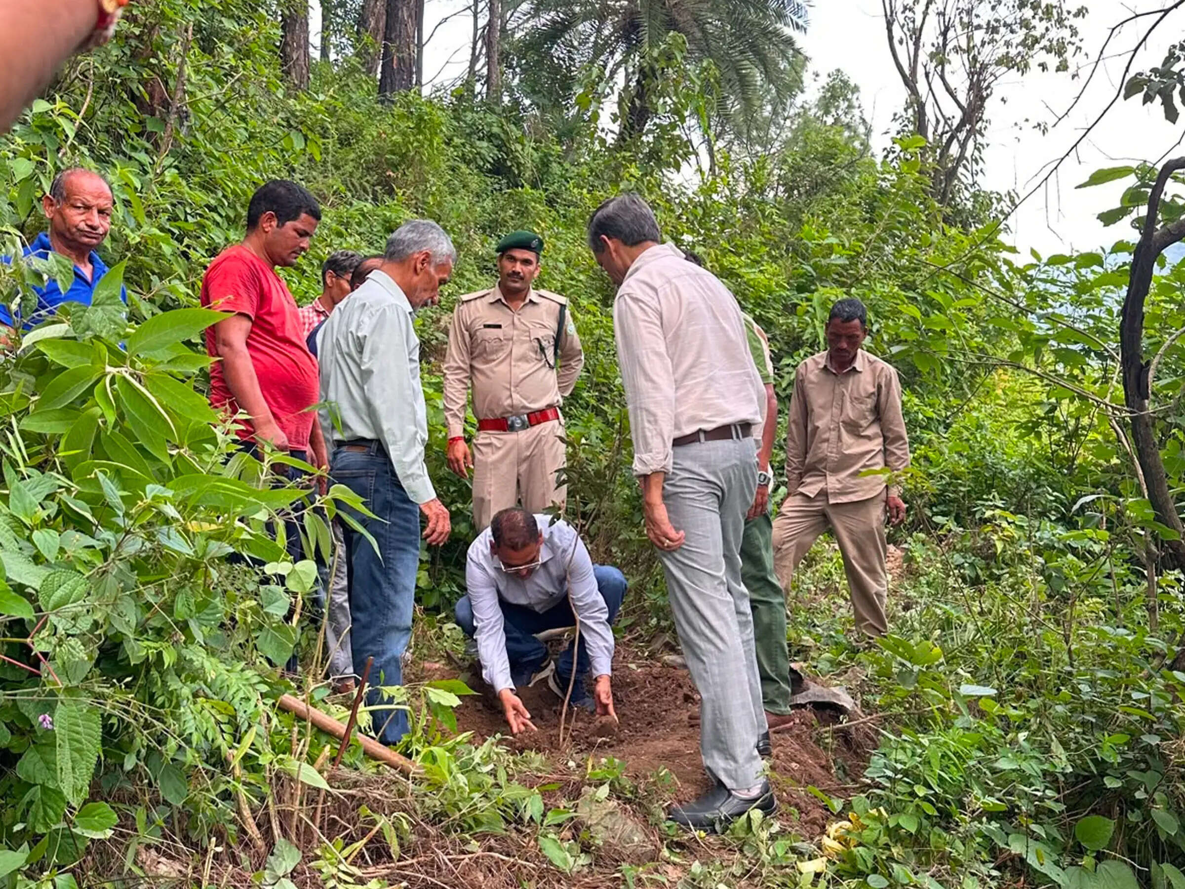 देवभूमि पर्यावरण रक्षक मंच ने गंधर्व जंगल में किया पौधारोपण