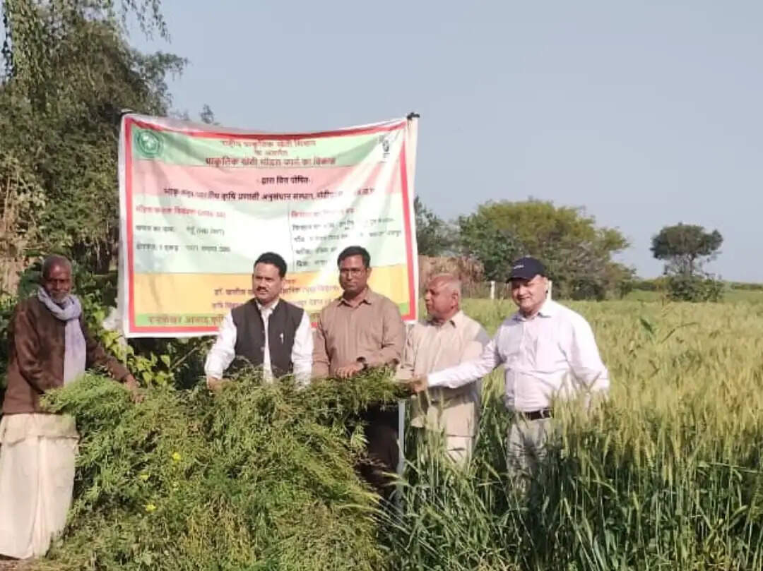 प्राकृतिक खेती से टिकाऊ कृषि व बेहतर भविष्य का संदेश : डॉ. वीके त्रिपाठी