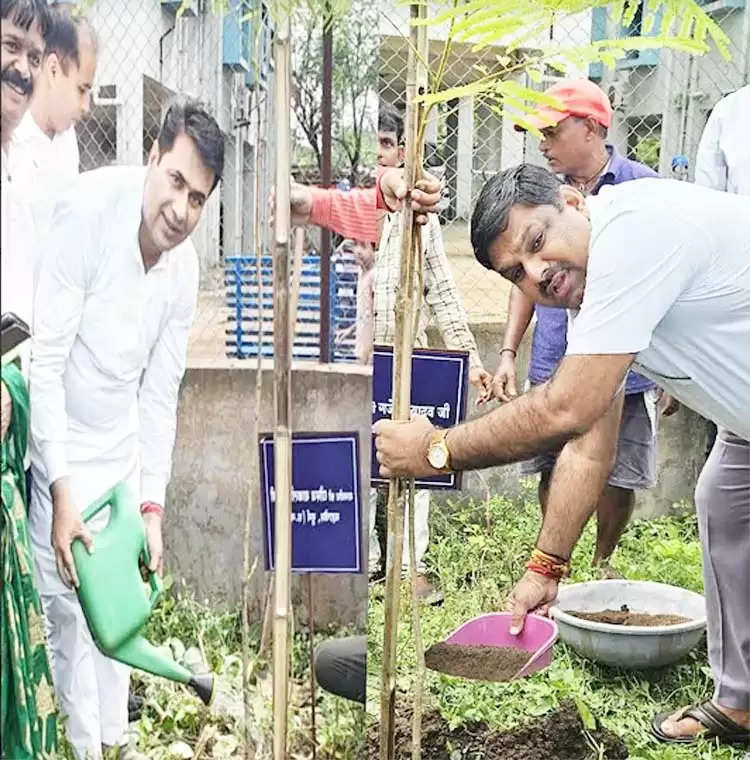 एक पेड़ मां के नाम अभियान के तहत विधायक व महापौर ने किया पाैधराेपण