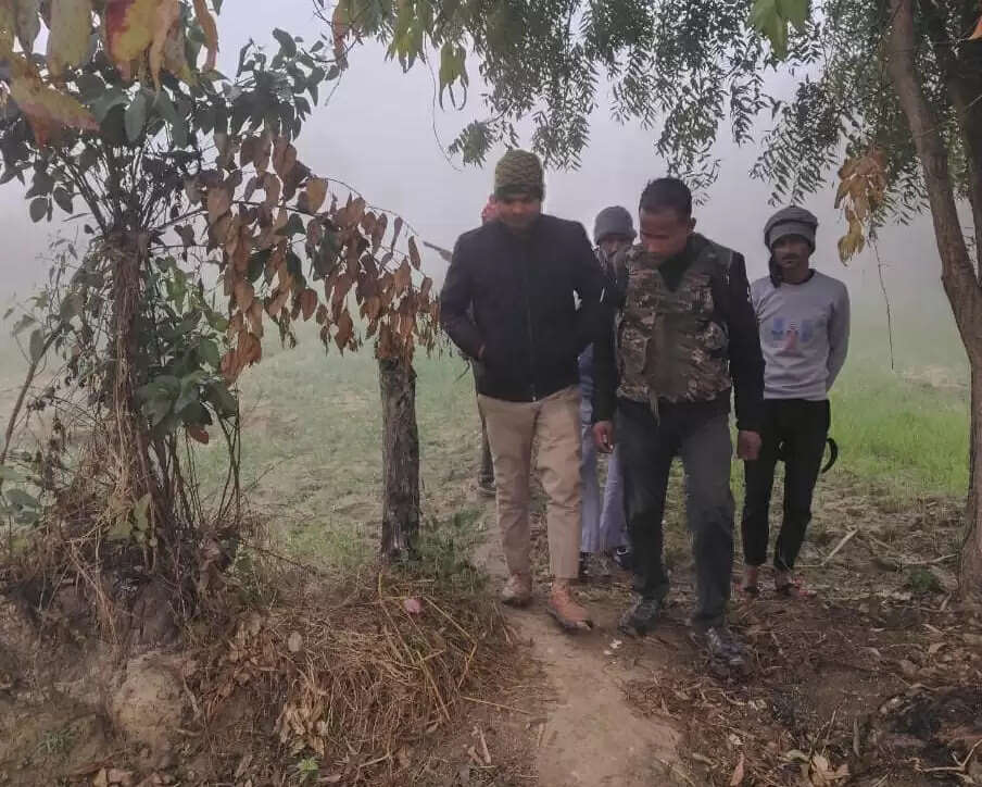 बाघ की दस्तक से ग्रामीणों में दहशत, वन विभाग ने लगाया आईआर कैमरे