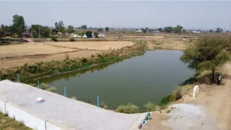 ग्वालियरः अमृत सरोवर से रिझोरा में लौटी हरियाली और खुशहाली