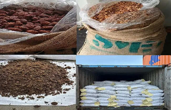 तीन करोड़ रुपये मूल्य का 364 मिलियन टन प्रतिबंधित पाकिस्तानी सूखा खजूर जब्त